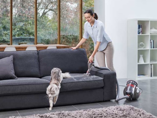 aspiración del sofá con un aspirador para animales