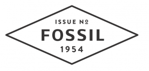 3-fossil