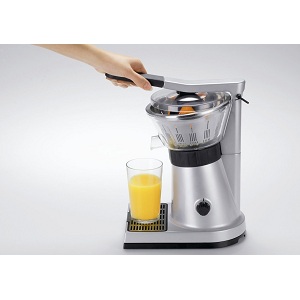 1.2 Krups Profesional