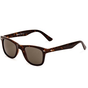 1.1 Sunoptic S045